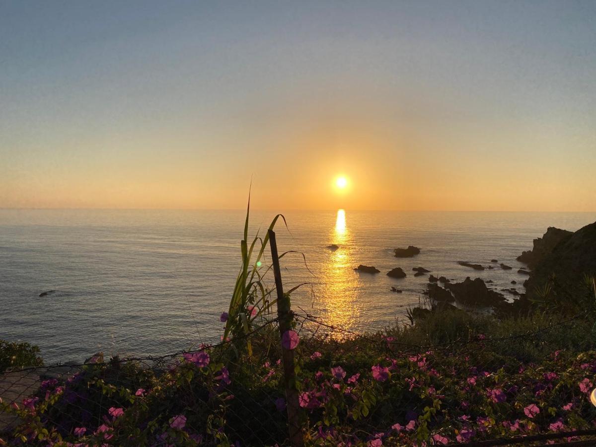 Casa Do Brejao Campo E Praia Odemira Ngoại thất bức ảnh