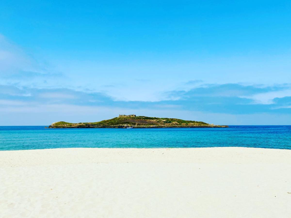 Casa Do Brejao Campo E Praia Odemira Ngoại thất bức ảnh