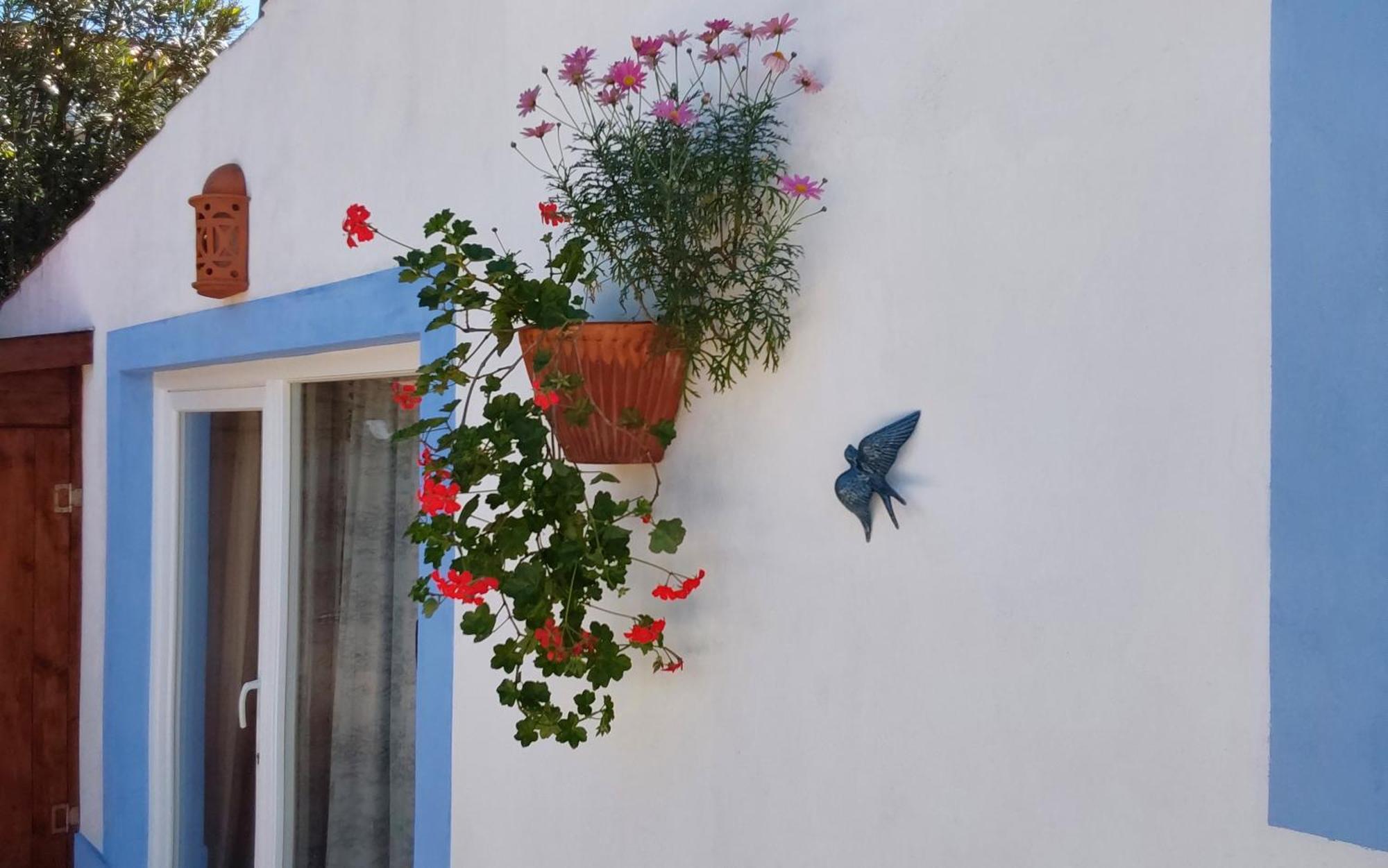 Casa Do Brejao Campo E Praia Odemira Ngoại thất bức ảnh