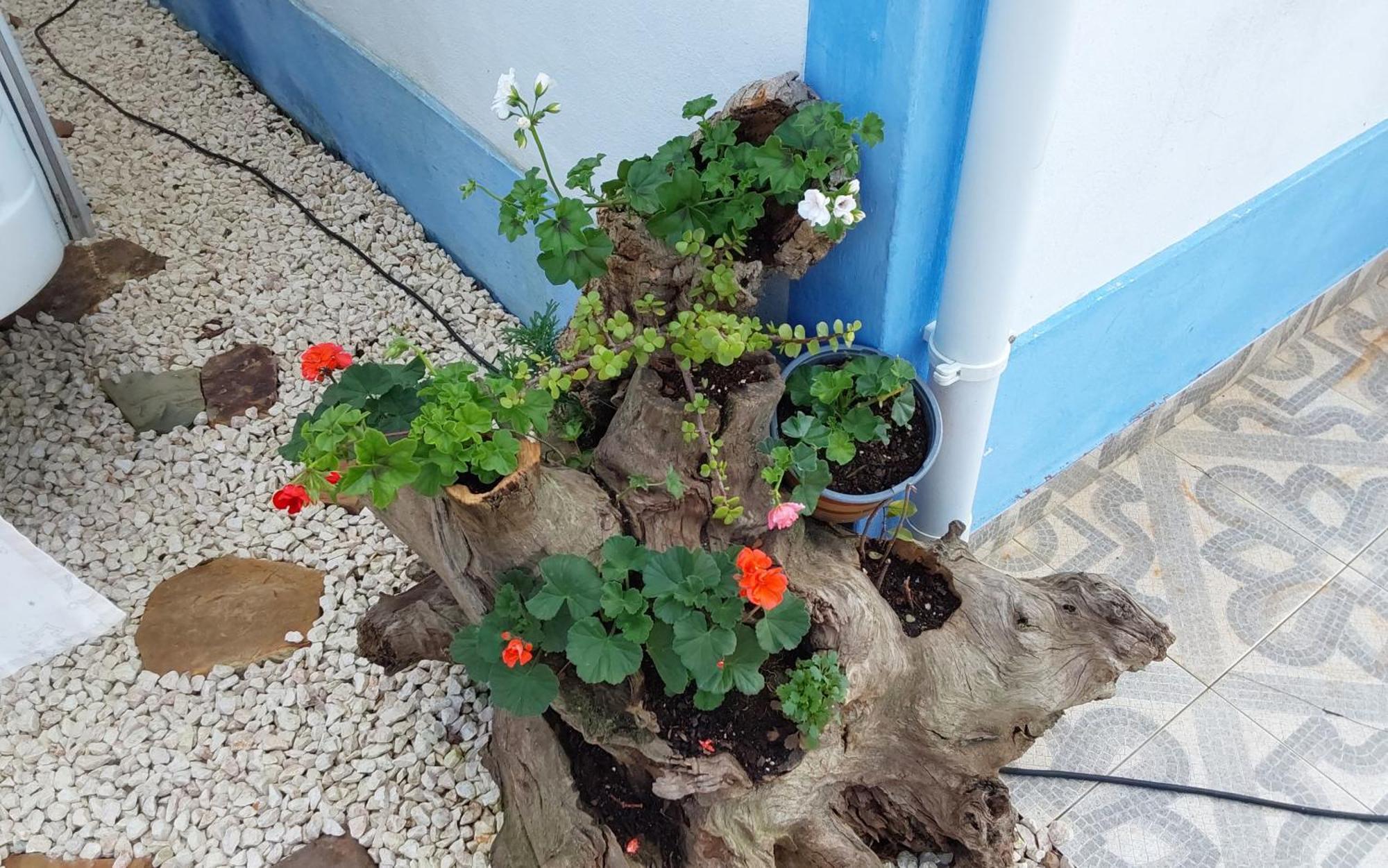 Casa Do Brejao Campo E Praia Odemira Ngoại thất bức ảnh