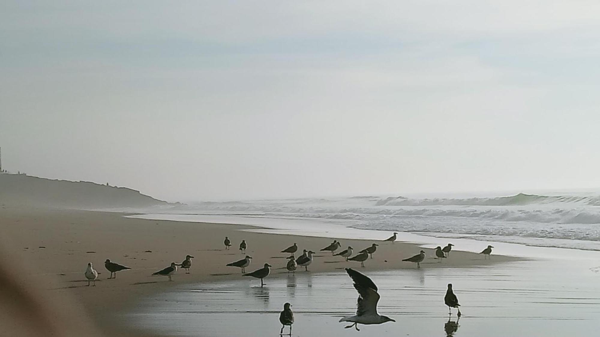 Casa Do Brejao Campo E Praia Odemira Ngoại thất bức ảnh