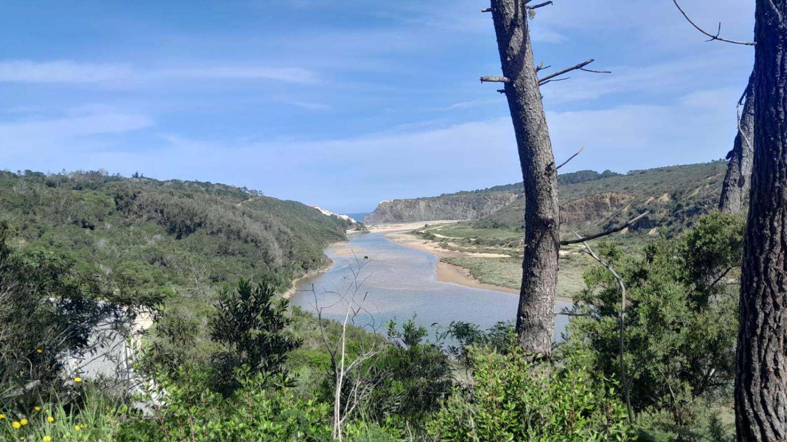 Casa Do Brejao Campo E Praia Odemira Ngoại thất bức ảnh