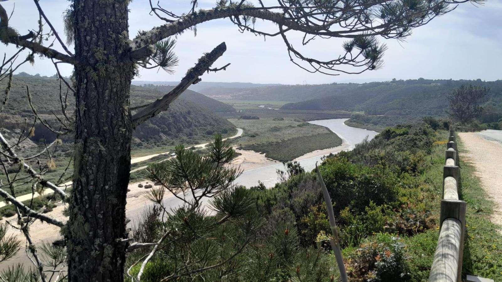 Casa Do Brejao Campo E Praia Odemira Ngoại thất bức ảnh