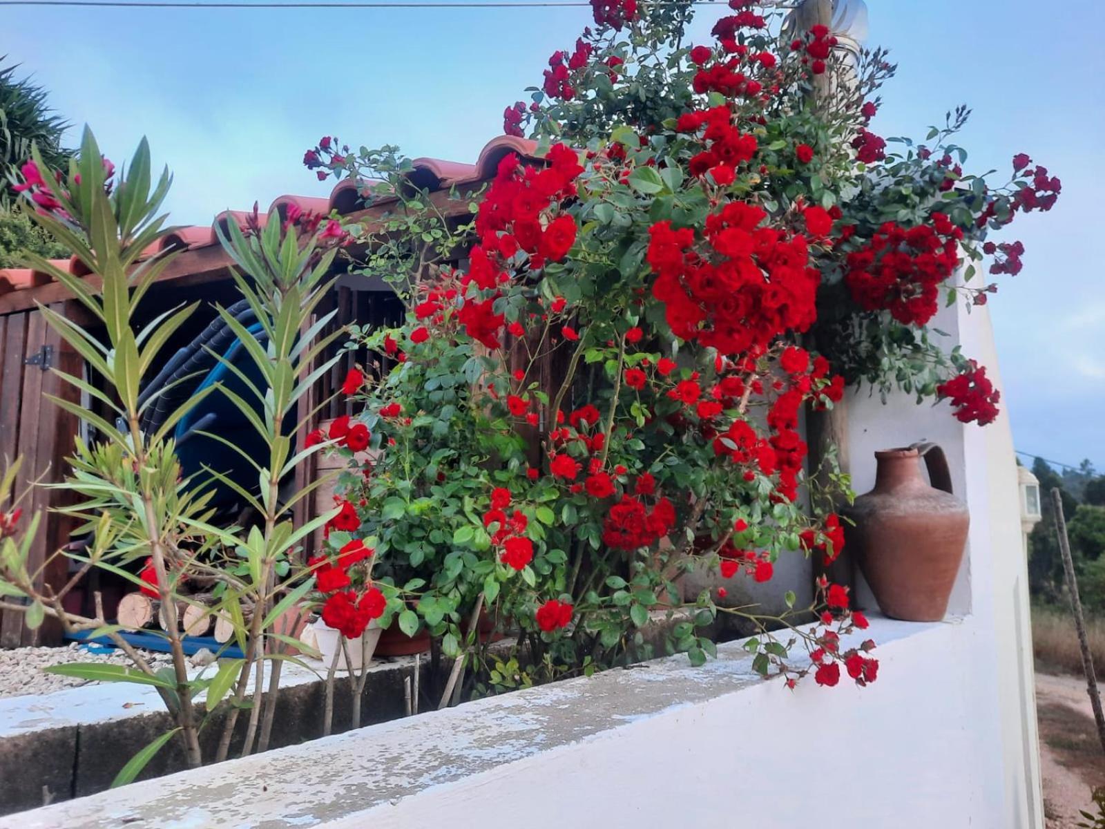 Casa Do Brejao Campo E Praia Odemira Ngoại thất bức ảnh